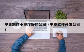 西宁宁夏制作小程序好的公司（宁夏软件开发公司）